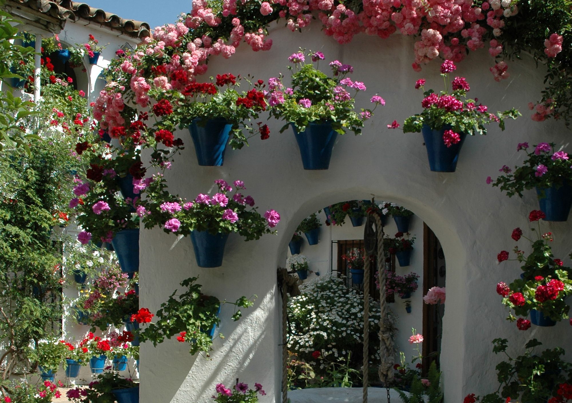 visitas guiadas a los Patios de Córdoba